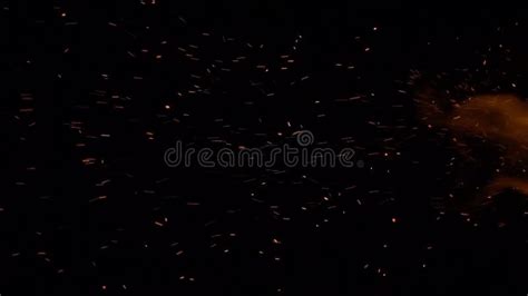 Burning Red Hot Sparks Rise From Large Fir Stock Video Video Of Light Life 274634583