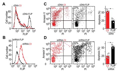 Biomolecules Free Full Text Sirt Deficiency Specifically In