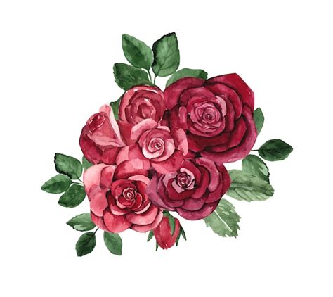 Premium Vector Watercolor Red Rose Bouquet Illustrations