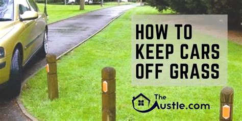 How To Keep Cars Off Grass Save Your Lawn Now