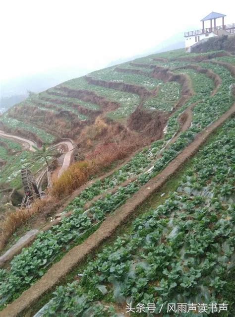 廣東梅州自駕游——走進坪山千畝梯田，親近大自然「原創實拍」 每日頭條