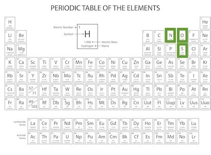 What Group Is Ammonia In On The Periodic Table Infoupdate Org