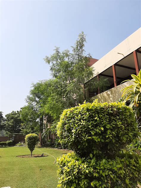 sgtb khalsa college delhi university cutoff  check category