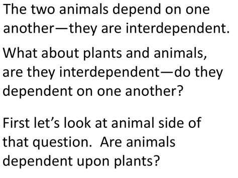 Plants And Animals Depend On Each Other Teach 2nd3rd Grade