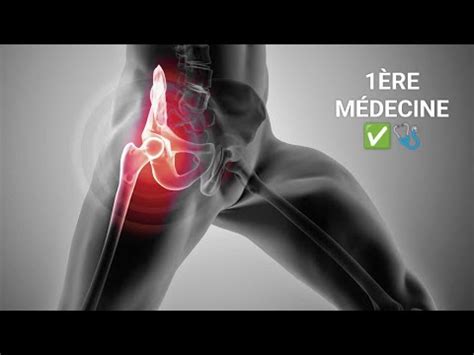 Anatomie Articulation De L Hanche Coxo F Morale Re M Decine