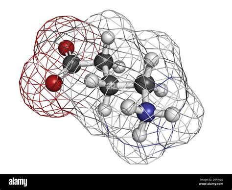 Gaba Neurotransmitter Hi Res Stock Photography And Images Alamy