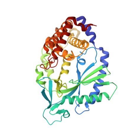 RCSB PDB 7FTR Crystal Structure Of Human Cyclic GMP Synthase In