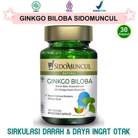 Promo GINKGO BILOBA SIDOMUNCUL VITAMIN DAYA INGAT DAN OTAK GINKO