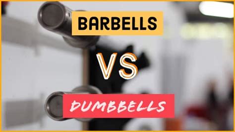 Barbells Vs Dumbbells A Comprehensive Guide On How To Decide The