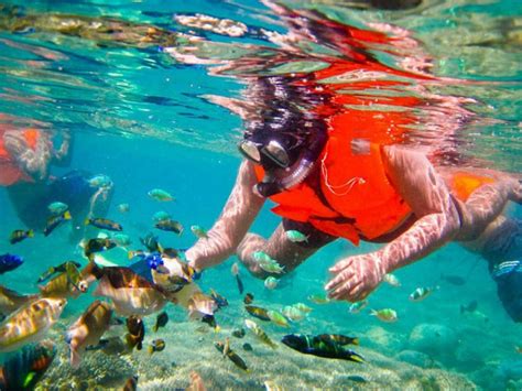 3 Gili Islands Lombok Snorkeling Tour - Wandernesia