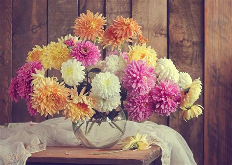 Autumn flowering plants - Blooming Lucky