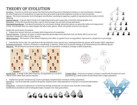 Theory of Evolution