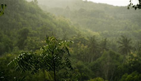 Eco Turismo Tratado UE MercoSur La Amazonia Y El Cerrado Eco Turismo