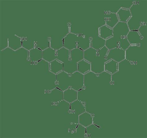 Perbedaan Antara Beta Lactam Dan Non Beta Lactam Prodiffs