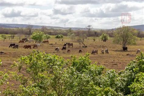 Novo alerta de chuvas intensas em Sergipe NE Notícias