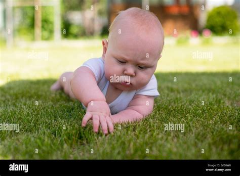 Baby Lying In The Garden And Touched The Grass Stock Photo Alamy