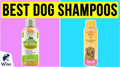 Top 10 Dog Shampoos Video Review