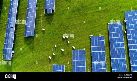 Solar panels in aerial view Stock Photo - Alamy