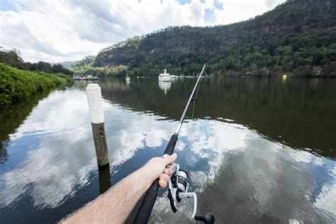 Fishing Hawkesbury River Riparide