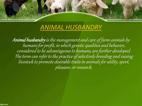 Animal Husbandry Neco Obj 2