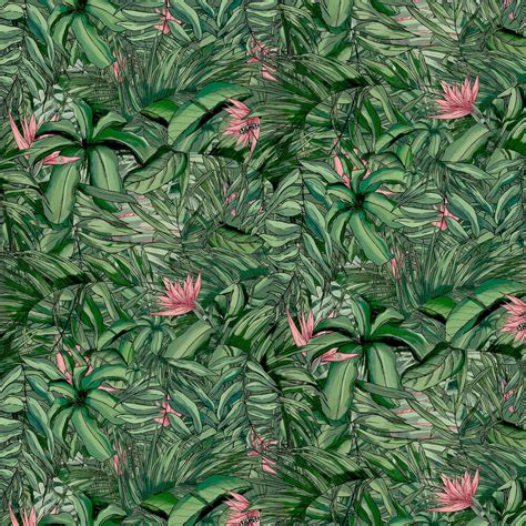 Tropical Forest By Brand Mckenzie Dark Green Pink Wallpaper