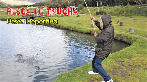 PESCA de La TRUCHA de la SIERRA VIRGEN al Champiñón y al AJILLO YouTube