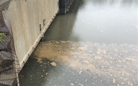 Is New York State Giving Up On Clean Waterways For New York City