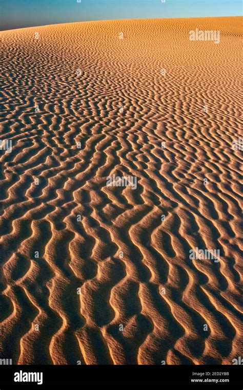 Dunes at sunset, Monahans Sandhills State Park, Chihuahuan Desert, Texas, USA Stock Photo - Alamy