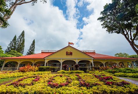 Dole Plantation Tour | Oahu Private Tours