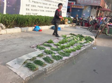 农贸市场设计地摊经济和农贸市场能共赢吗？ 杭州贝诺市场研究中心 星级规范价值高创意好