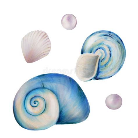 Watercolor Composition With Shells And Pearls Hand Painting Clipart