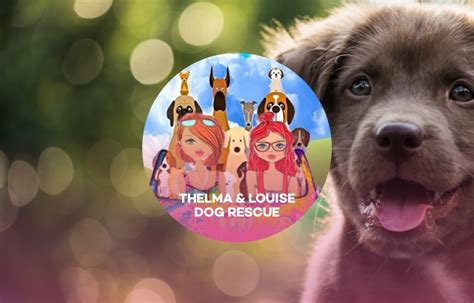 Thelma And Louise Dog Rescue Voice Yummypets