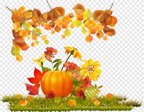 Herfst Bladeren En Pompoenen Adobe Illustrator Herfst Png Pngegg