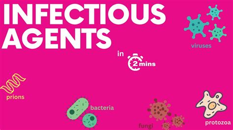 Infectious Diseases In 2 Minutes YouTube