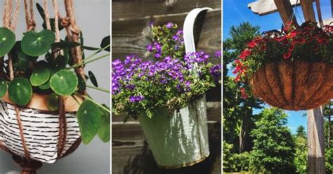 Diy Hanging Baskets To Display Your Floral Masterpieces