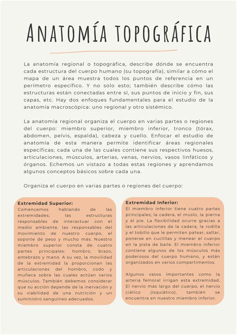 SOLUTION Terminologia Anatomica Internacional Studypool