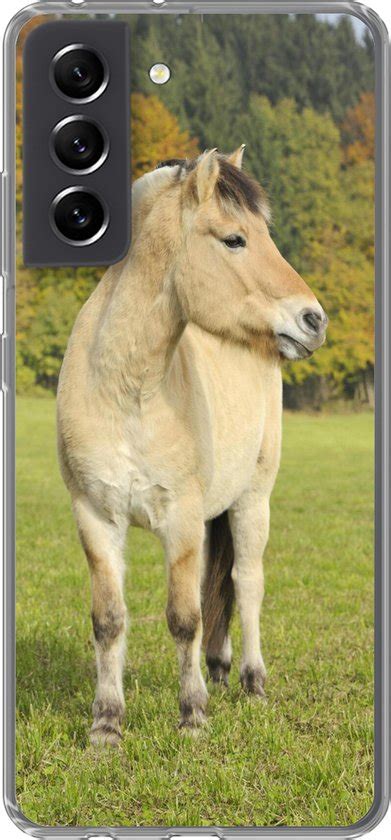 Geschikt Voor Samsung Galaxy S Fe Hoesje Fjord Paard In Een