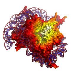 3D Protein Imaging | Easy ways to illustrate molecules