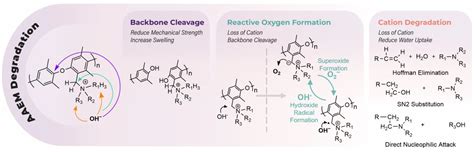 Polymers Free Full Text Tuning Alkaline Anion Exchange Membranes