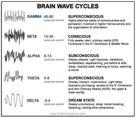 Lorna S Blog Lorna Wilson QHHT Healing Brain Waves Brain Facts