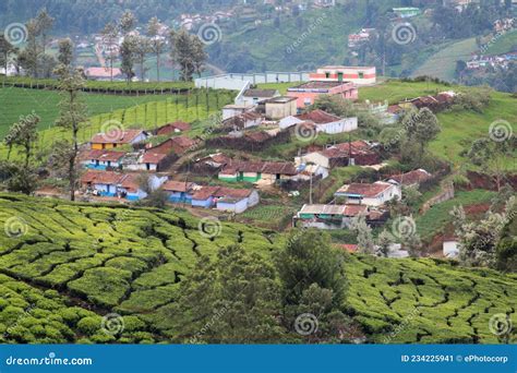 100+ most beautiful images in Ooty, Tamil Nadu, India