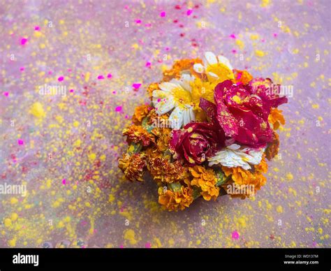 Puja flowers offering during Holi Celebration, Mathura, Uttar Pradesh ...