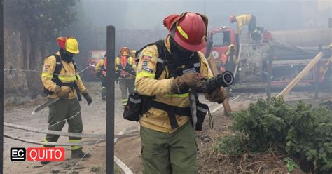 Así actúan los bomberos de Quito ante un incendio forestal El Comercio