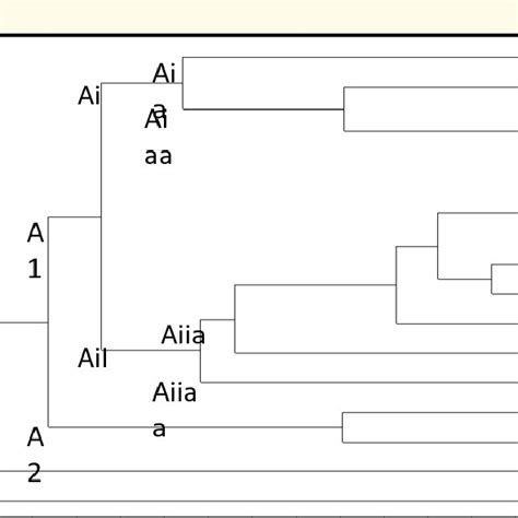 Dendrogram Depicting The Genetic Relationship Among 16 Garlic Genotypes Download Scientific