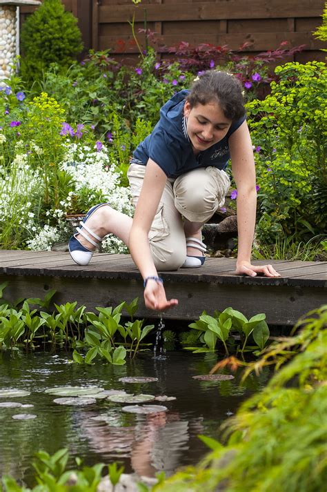 Gartenteich Anlegen Und Pflegen