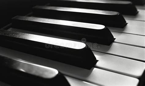 Teclas De Piano En Blanco Y Negro Instrumento Musical Imagen De