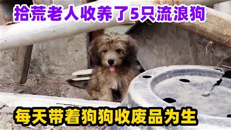 拾荒老人收养了5只流浪狗，每天带着狗狗收废品为生，好人有好报 Youtube