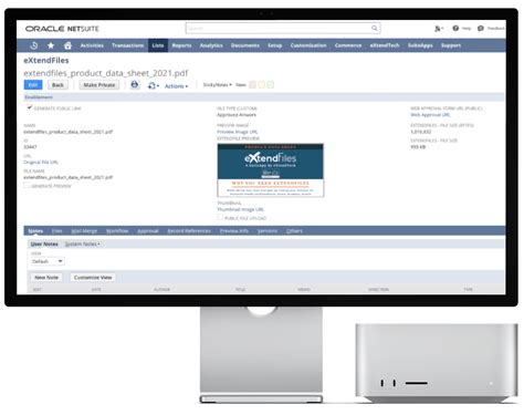 Extendfiles Netsuite File Storage Solution Extendtech