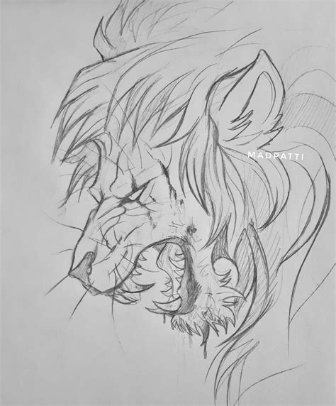 lion sketch by Madpattii on DeviantArt | Lion artwork, Lion sketch ...