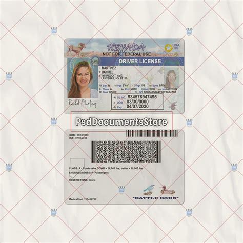 Nevada Driver License Psd Template Psd Doc Store